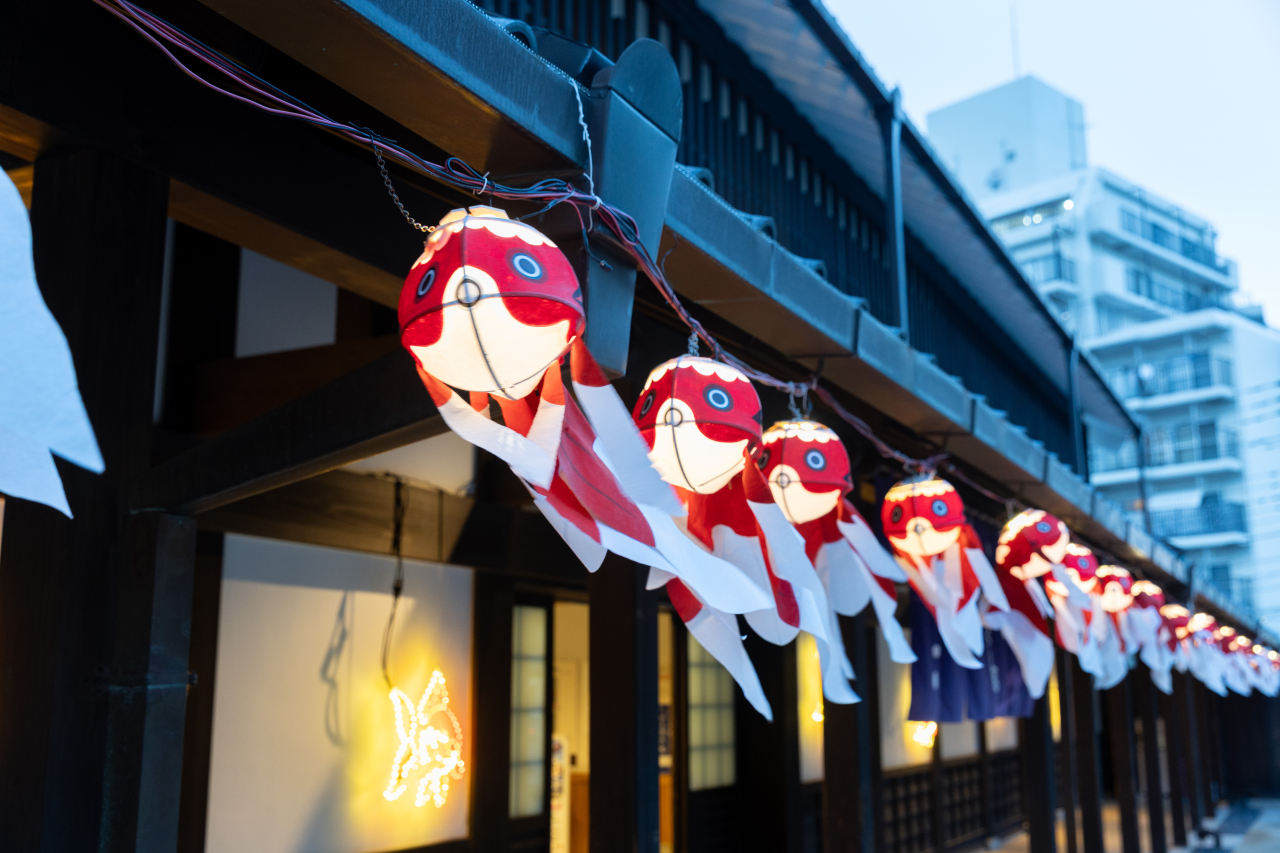 20250802  ひまわり・さくら館-9817